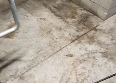 Concrete Pressure Washing9