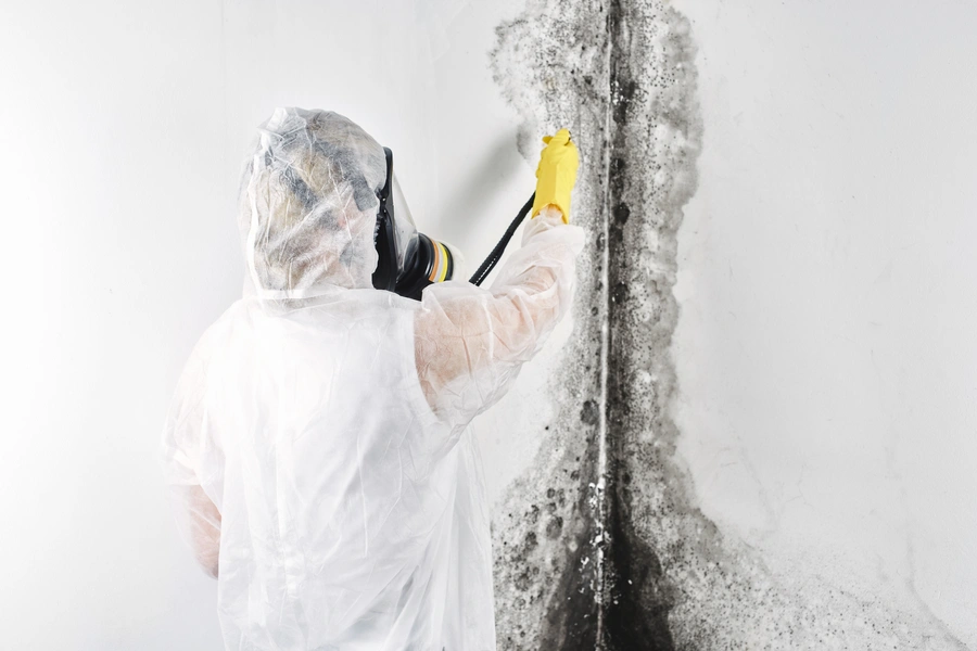 Signs Your Home Needs Mold Removal With Pressure Washing in Watsonville, CA